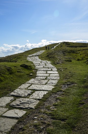 DSC_7699