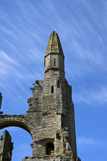 DSC_1458