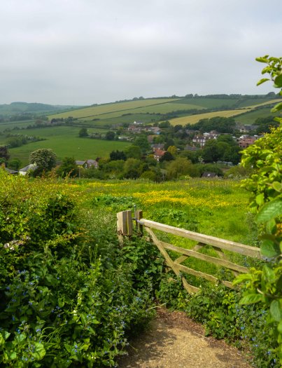 DSC_1247