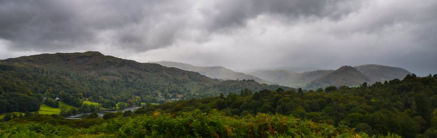 DSC_3308